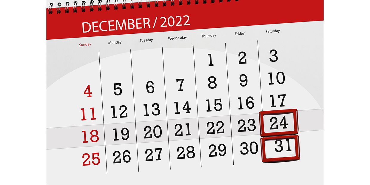 Calendar 2022, deadline, day, month, page, organizer, date, december, saturday, number 24